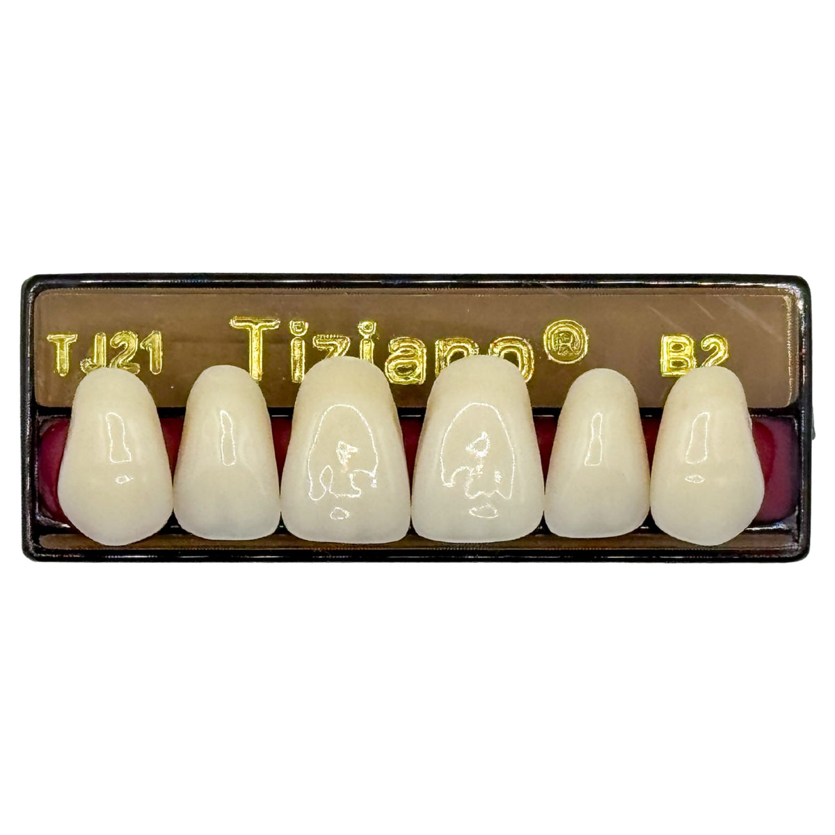 Dientes tiziano x 6 sa TJ21 col B2