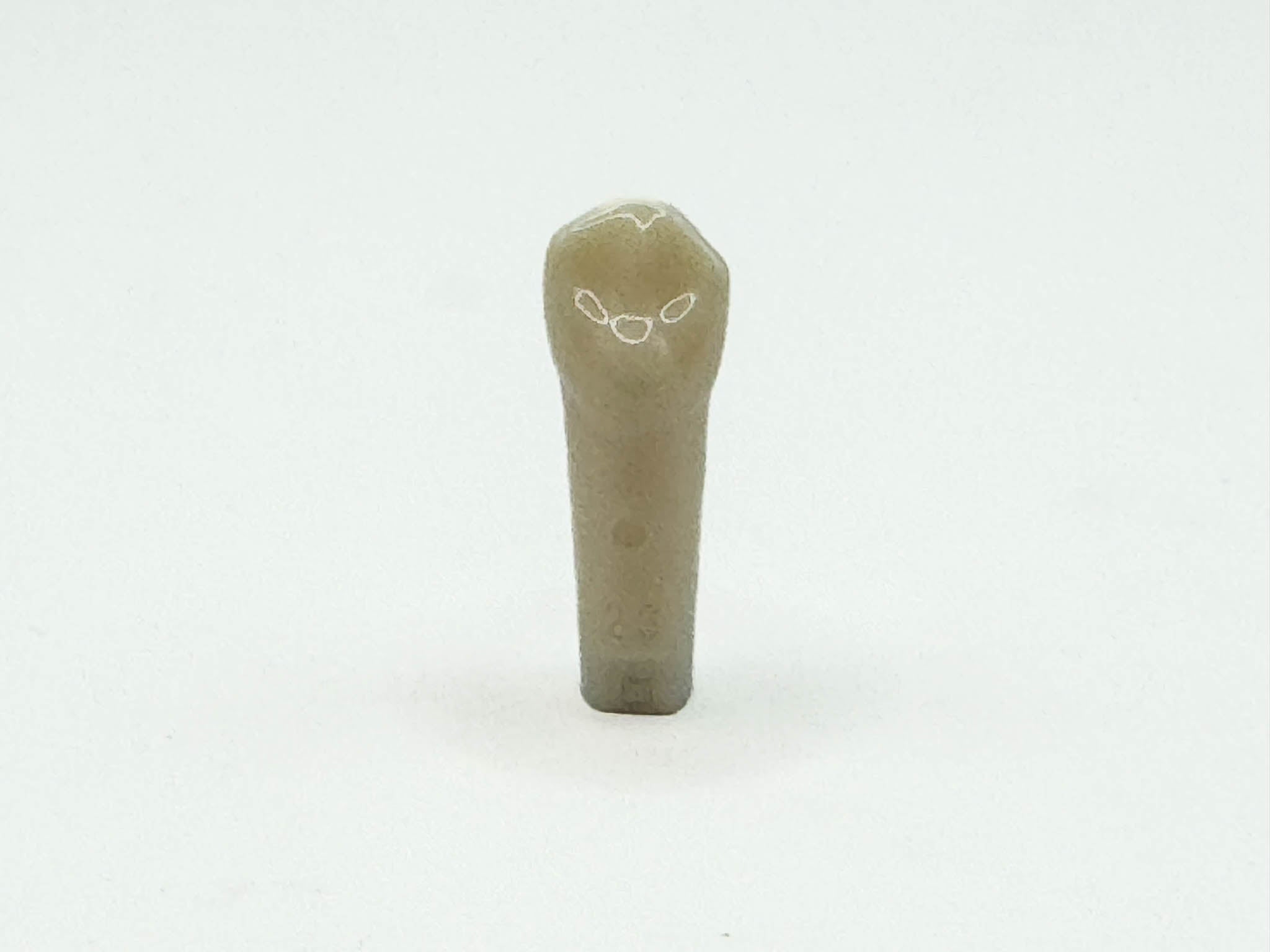 Diente permanente nissin #23 pza.