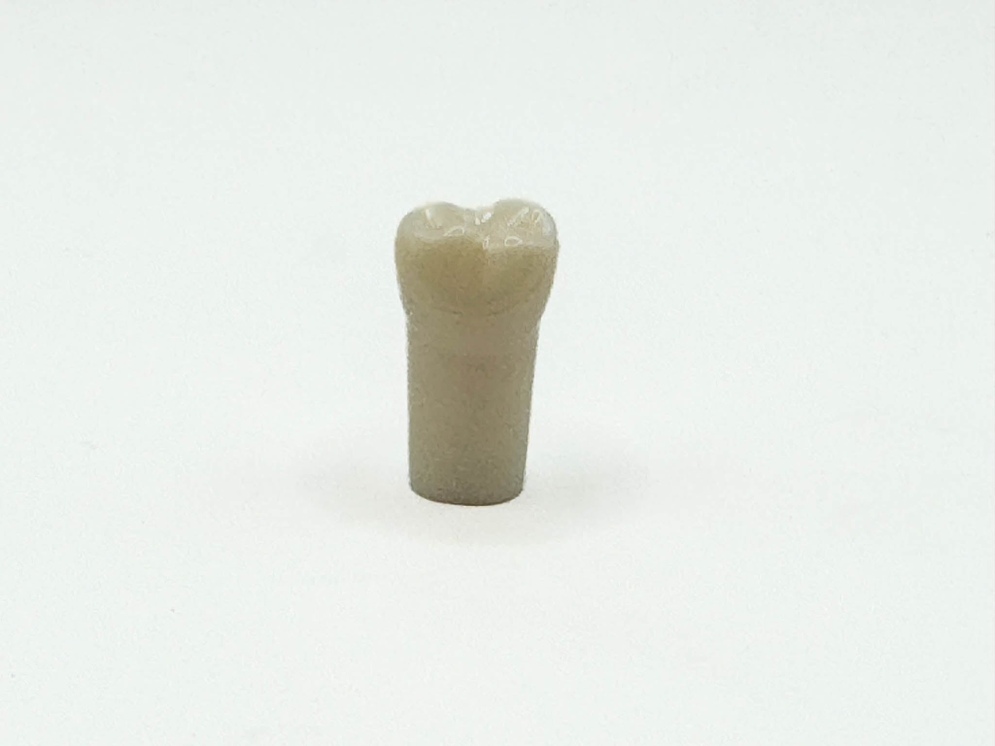 Diente permanente nissin #48 pza.