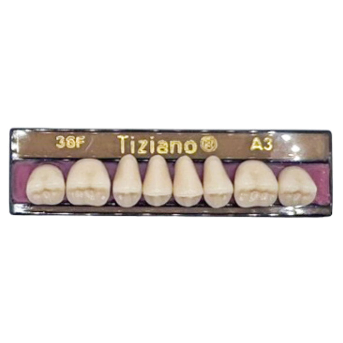 Dientes Tiziano superior posterior