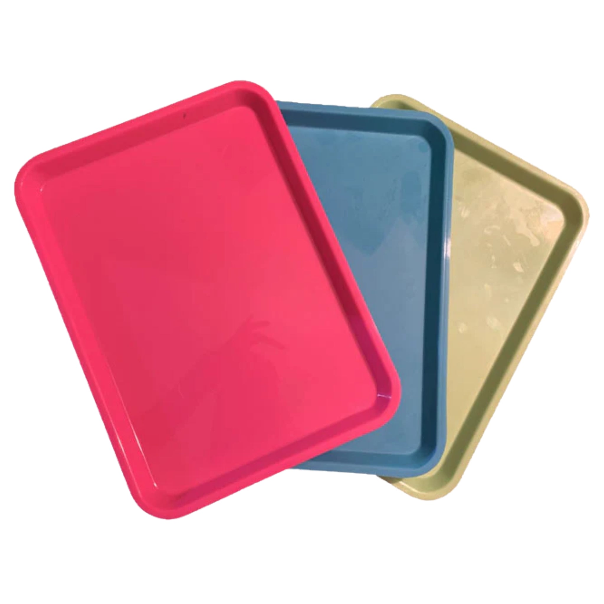 Charola para instrumental lisa grande