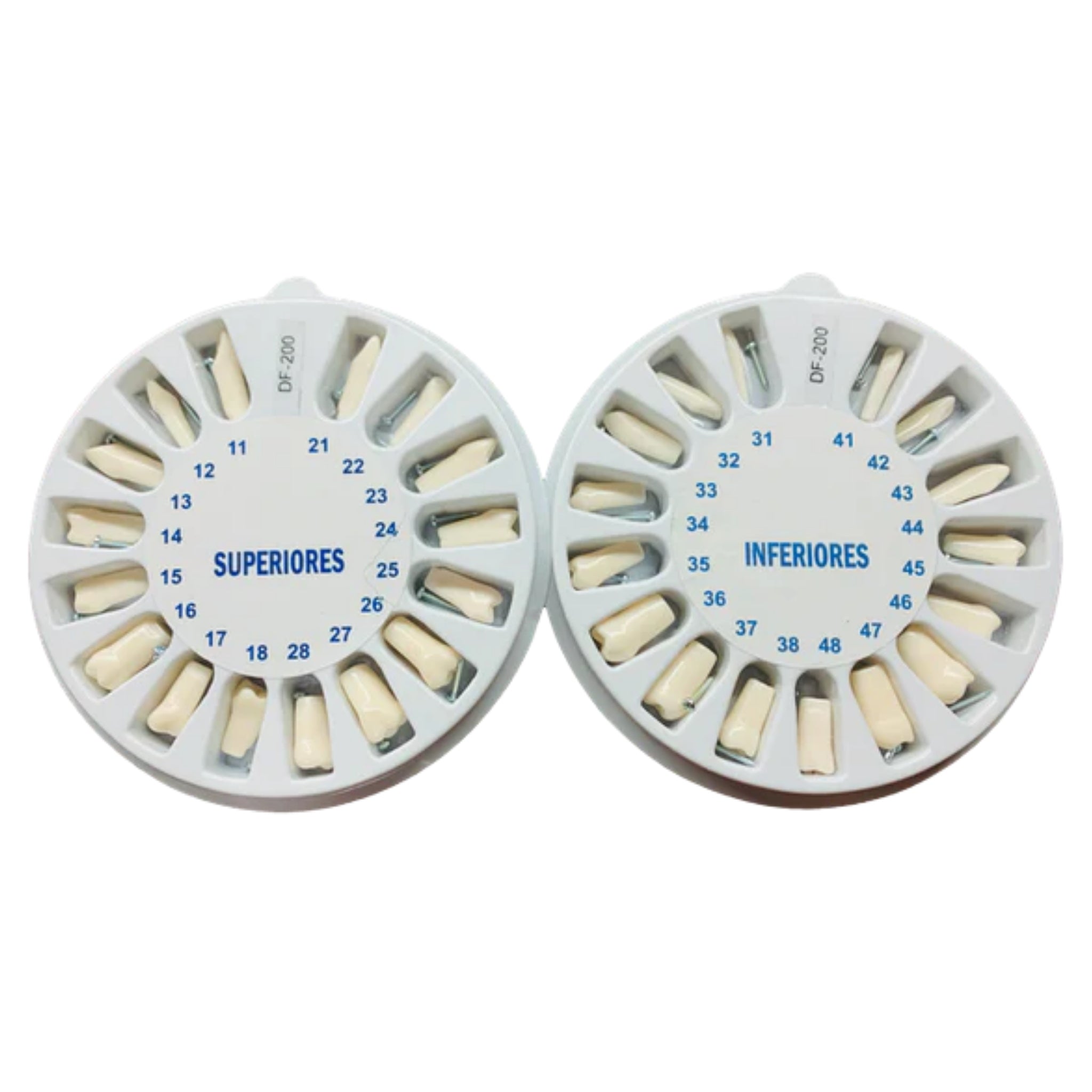 Dientes p/tip tipo columbia adulto 32 pz