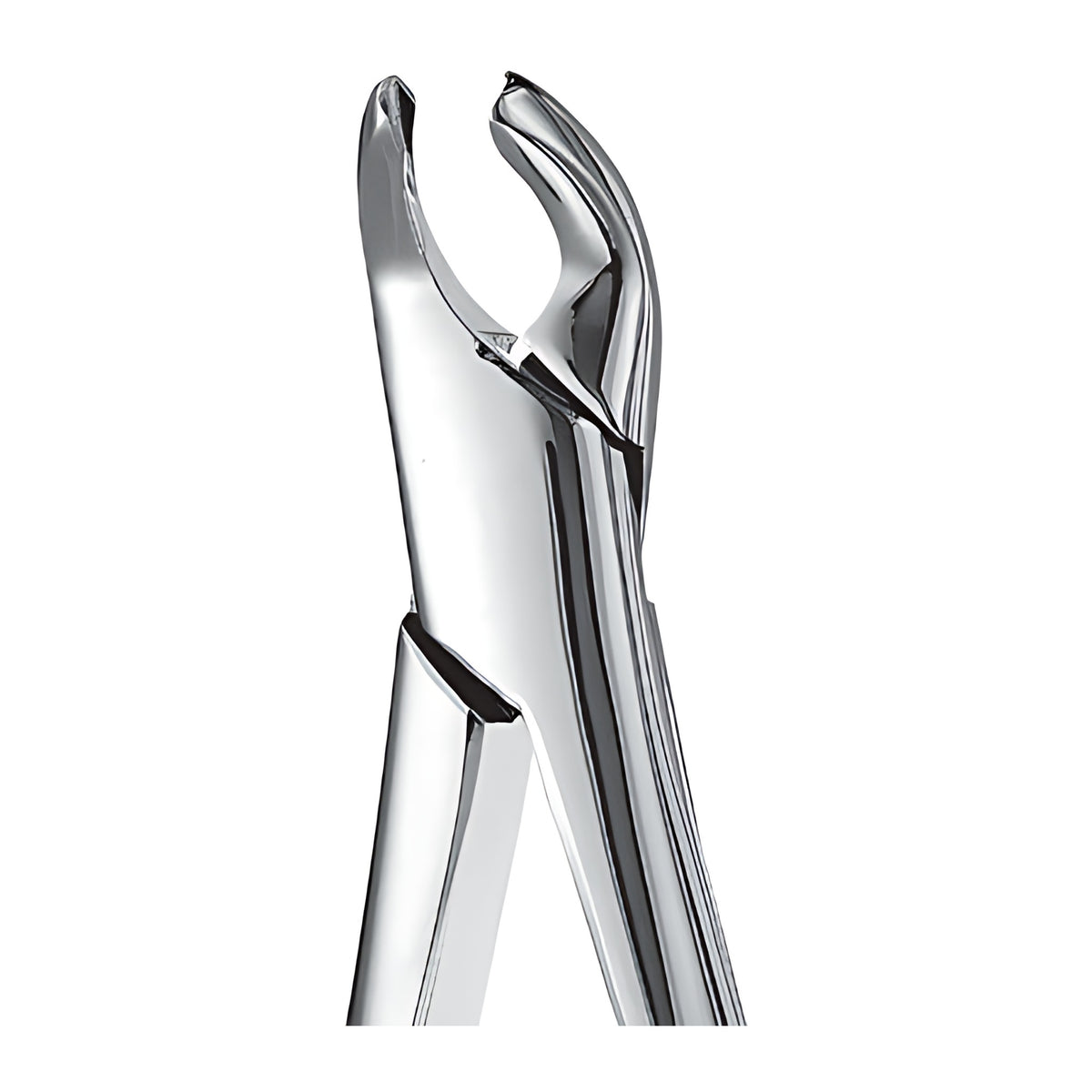 Forcep 151a cryer anteriores/premolares inferiores hu-friedy - detalle