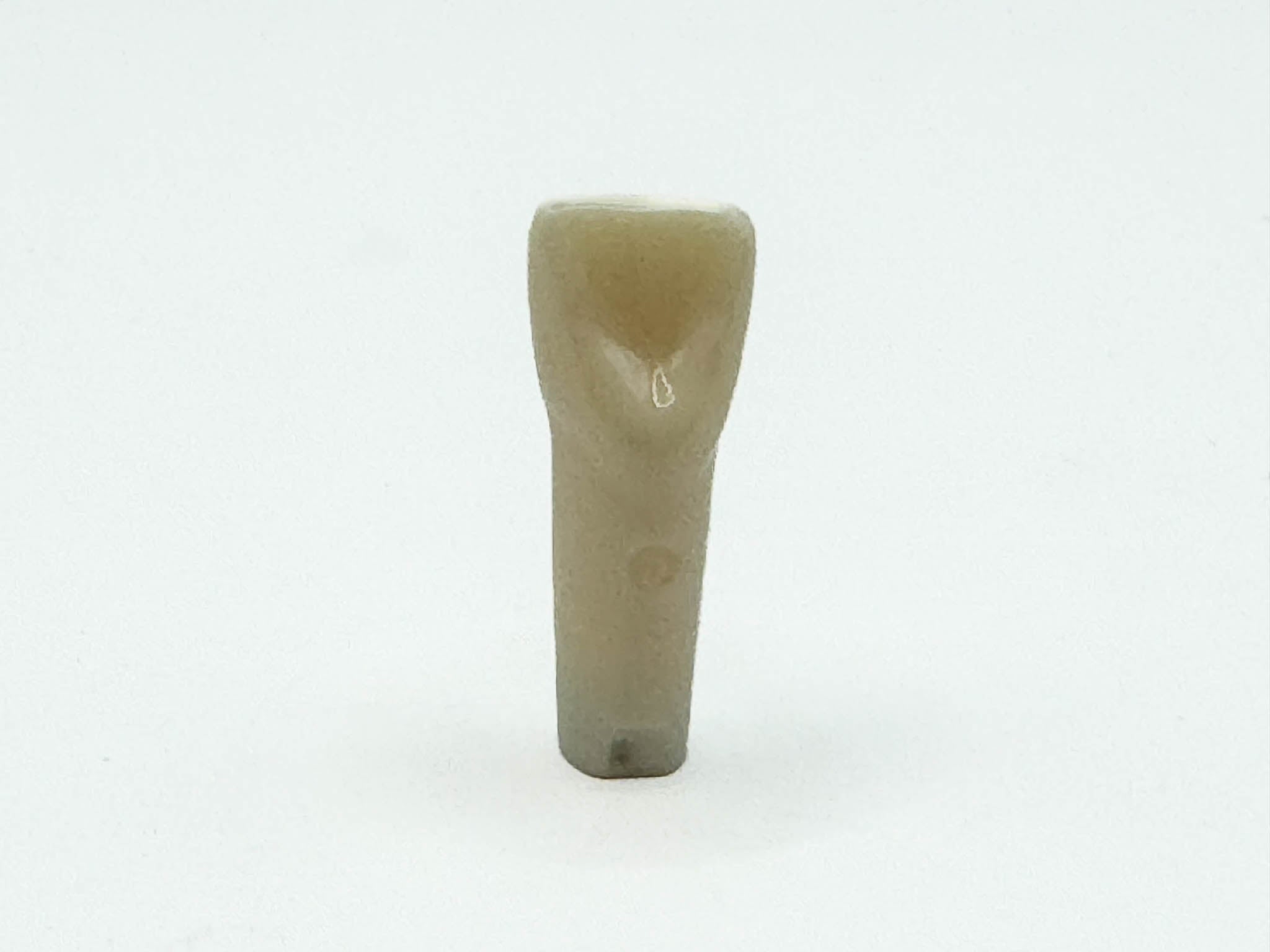 Diente permanente nissin #21 pza.