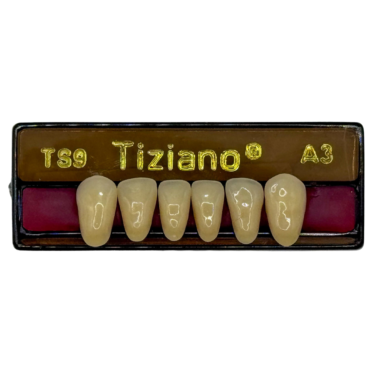Dientes tiziano x 6 ia TS9 col A3