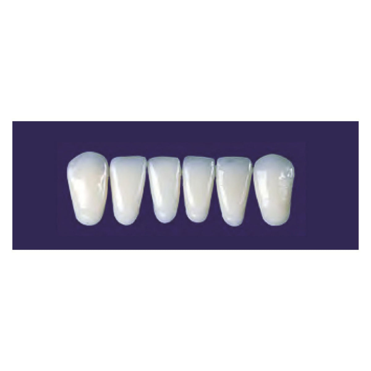 Diente new tek anterior inferior — 150-137-65I