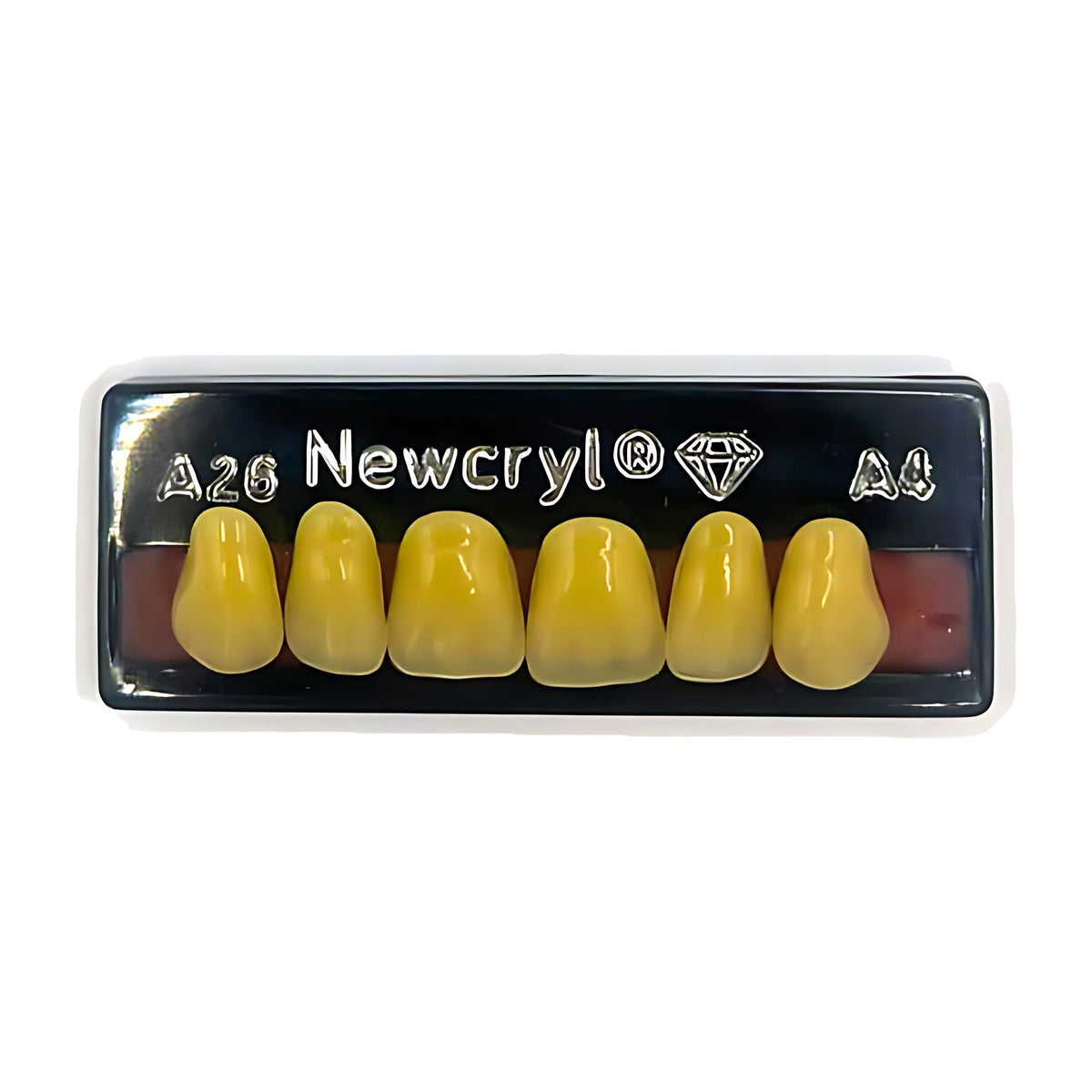 Dientes newcryl superior anterior moldes grandes