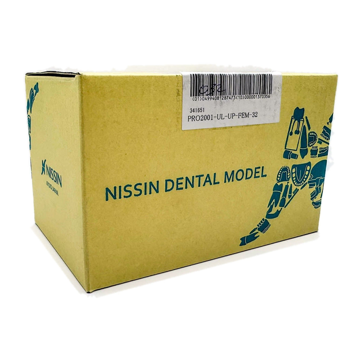 Tipodonto Nissin 32 dientes adulto (original)