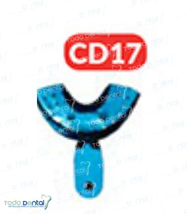 Cucharilla anterior inferior
