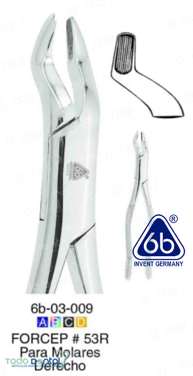Forcep adulto 53r