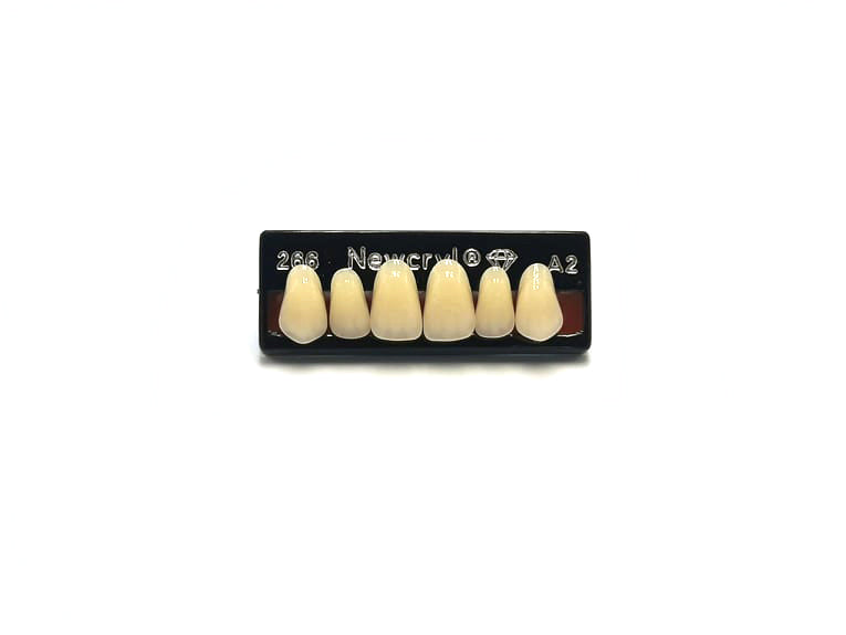 Dientes newcryl superior anterior