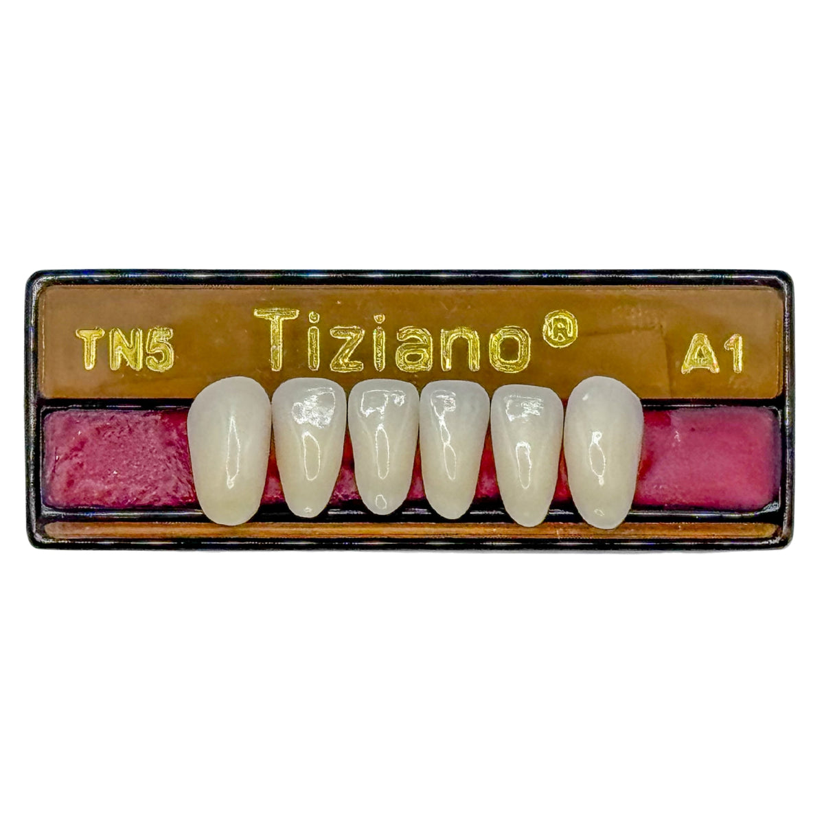 Dientes tiziano x 6 ia TN5 col A1