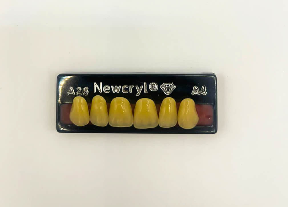 Dientes newcryl superior anterior