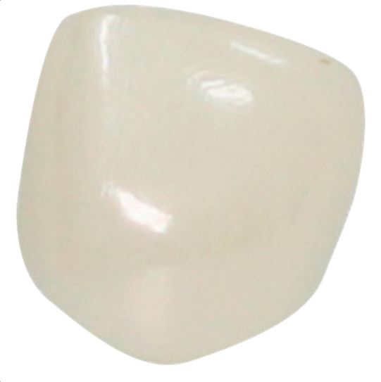 Corona zirconia nusmile anterior, lateral y canino