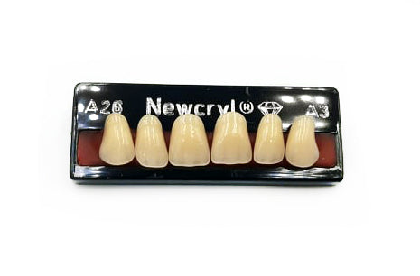 Dientes newcryl superior anterior moldes grandes