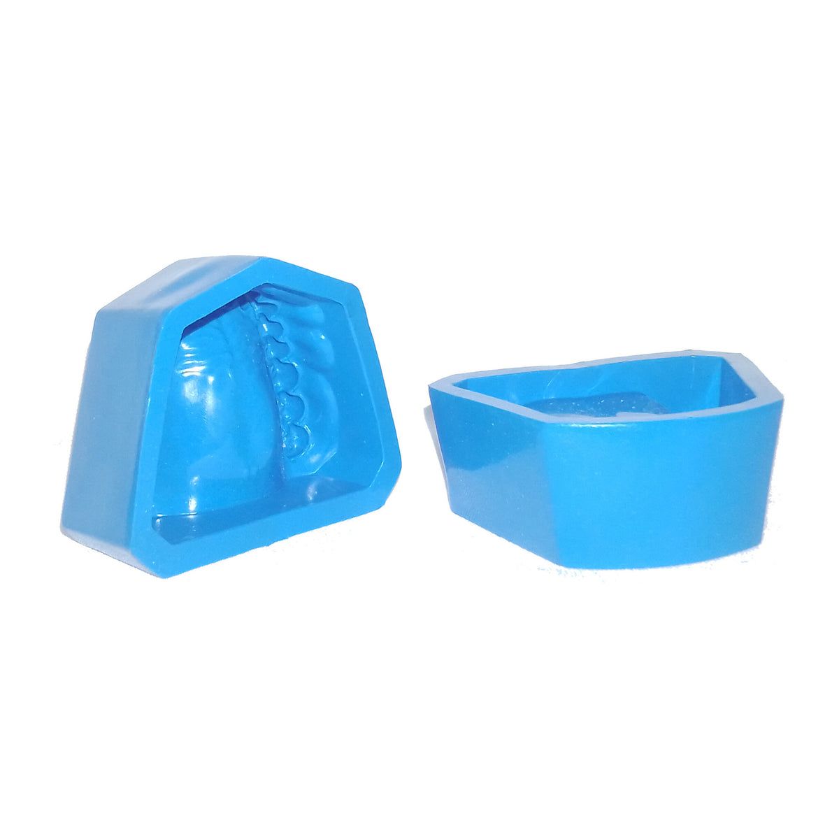 Zocalo para modelar dentado (superior e inferior)