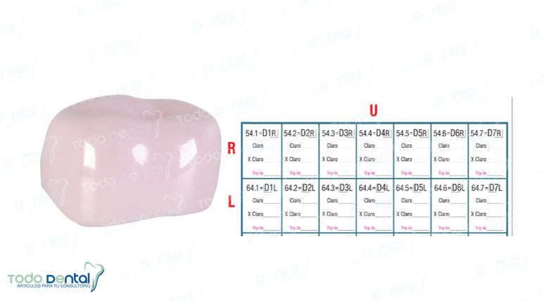 Corona de prueba nusmile 1er molar y 2do molar