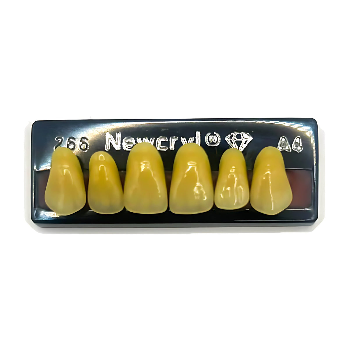 Dientes newcryl superior anterior moldes grandes