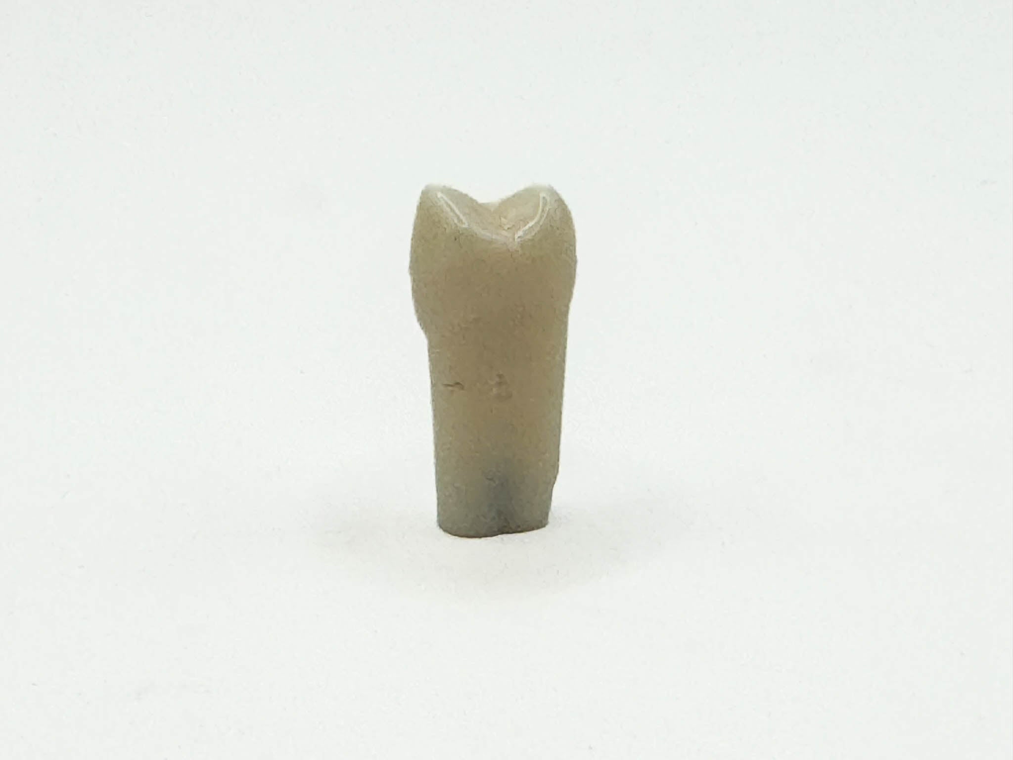 Diente permanente nissin #25 pza.