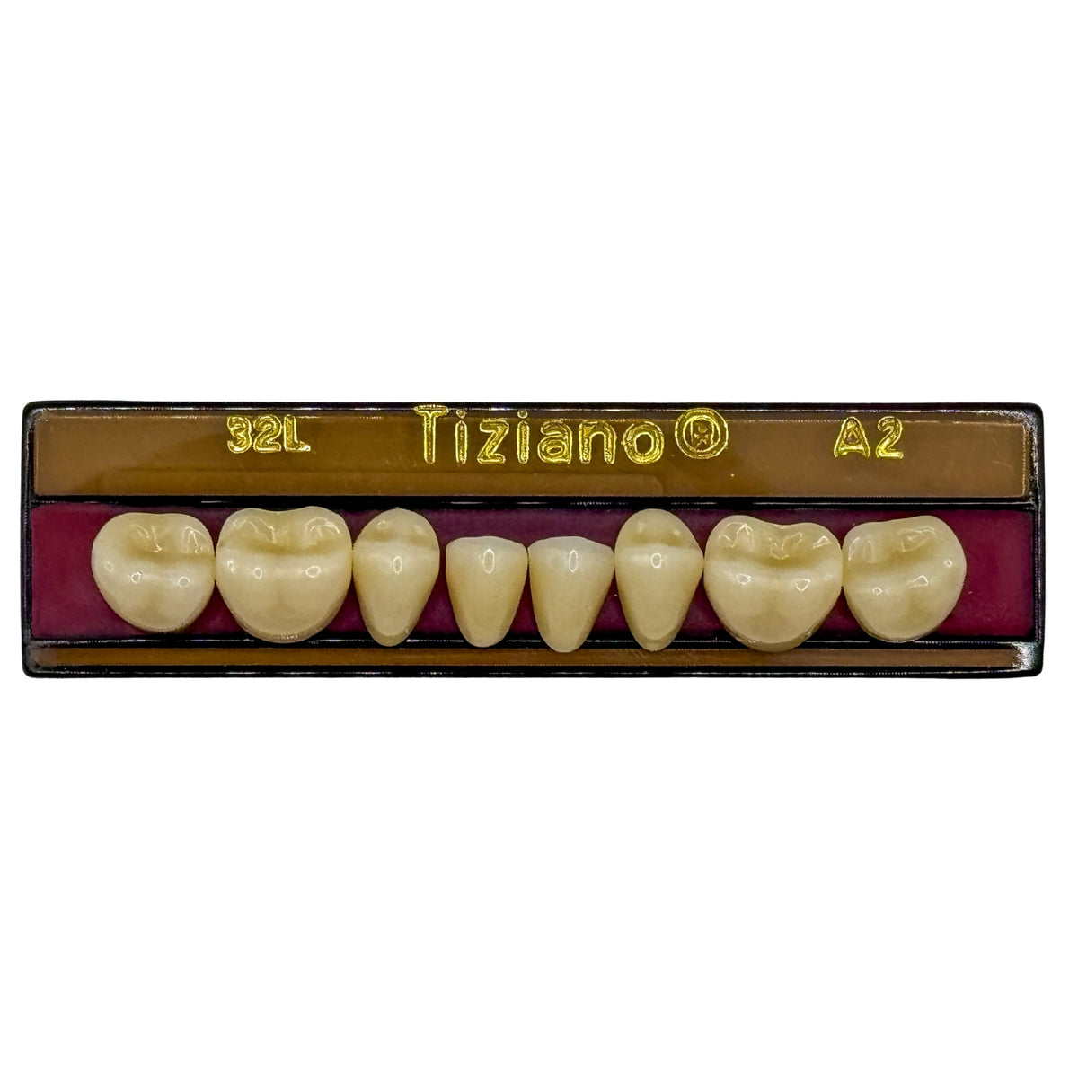 Dientes Tiziano inferior posterior