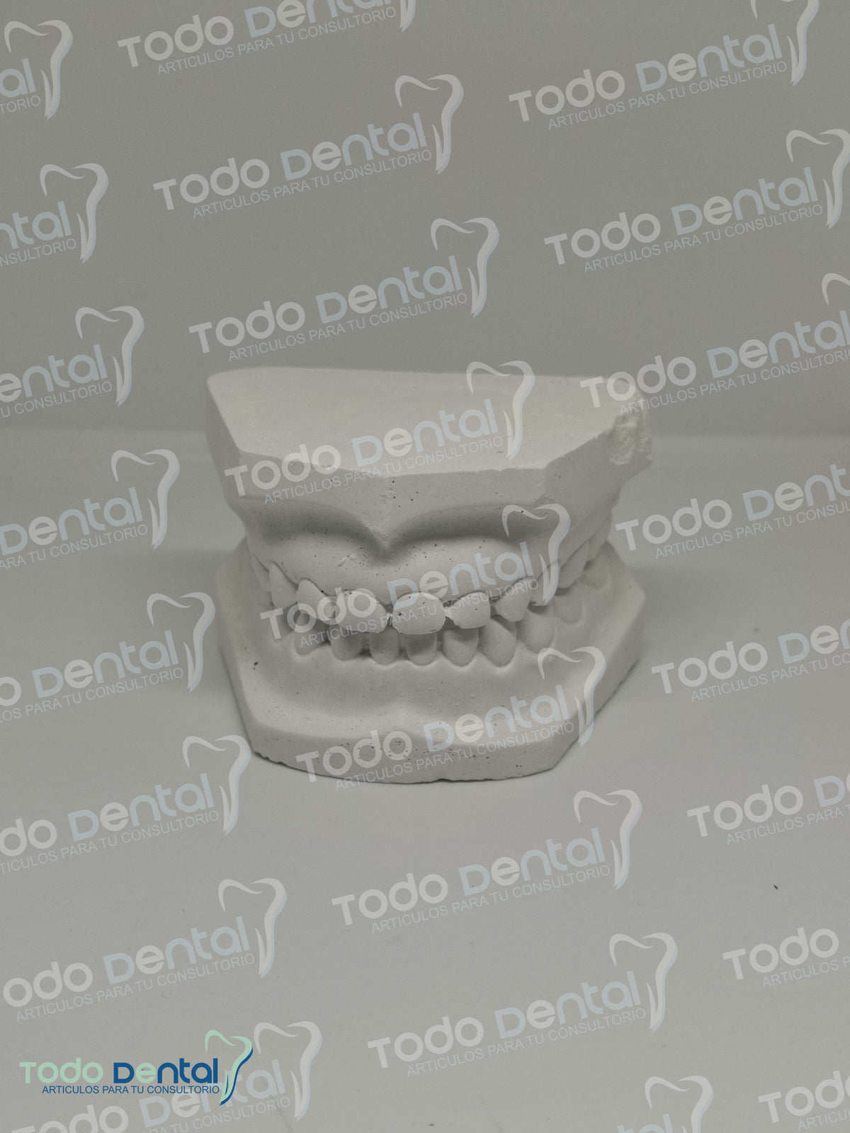 Tipodonto yeso infantil