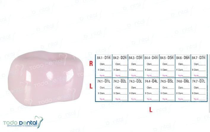 Corona de prueba nusmile 1er molar y 2do molar