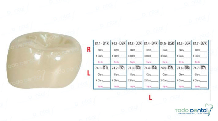 Corona zr post 1er molar angosto inferior izq # 4