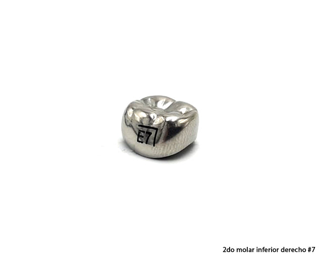 Corona de acero 3M posteriores