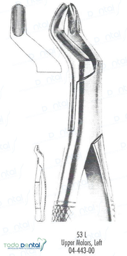 Forcep #53l molares - sup arain