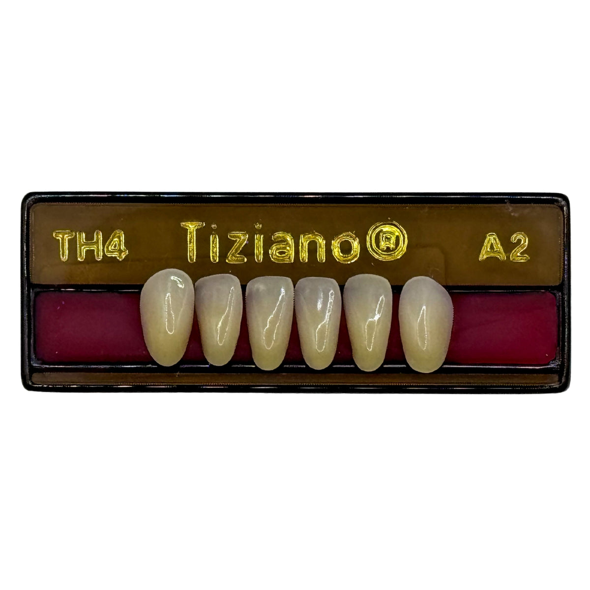 Dientes Tiziano inferior anterior