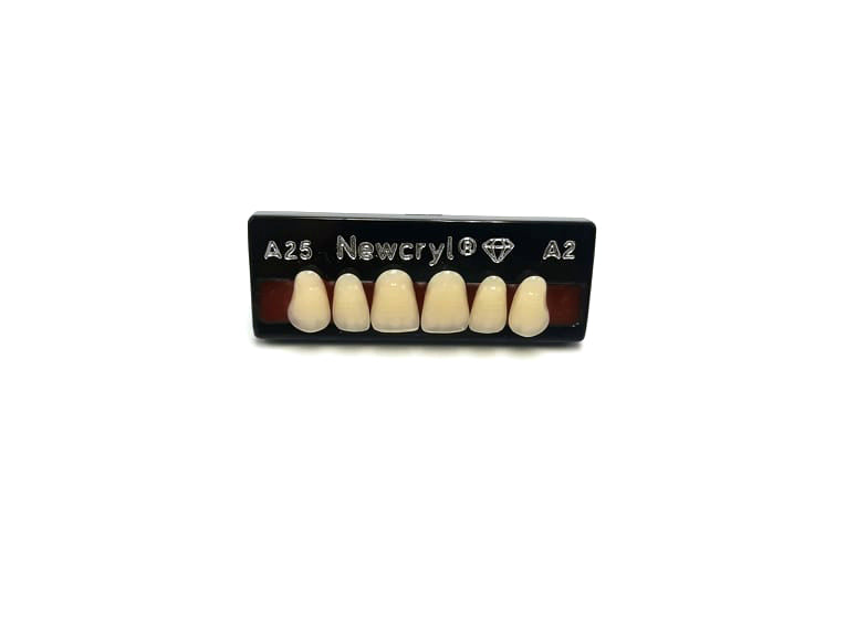 Dientes newcryl superior anterior moldes grandes