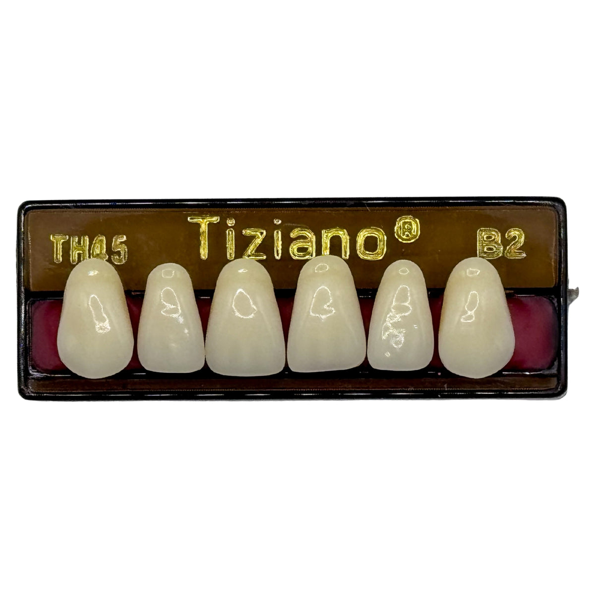 Dientes tiziano x 6 sa TH45 col B2