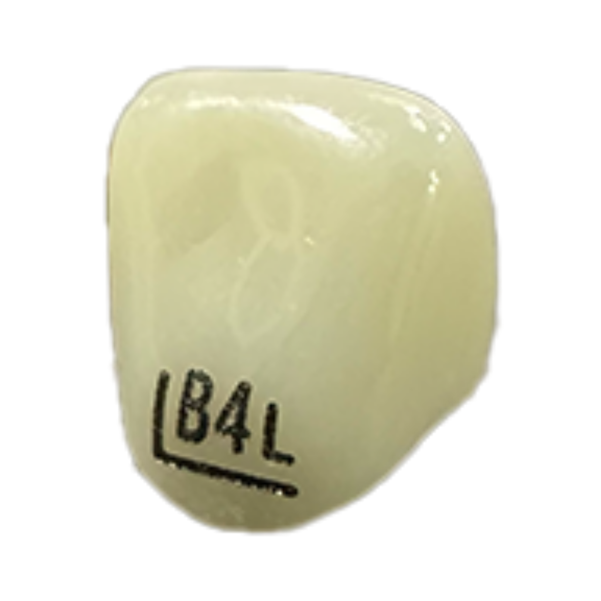 NuSmile B4L204L — 2985-VM