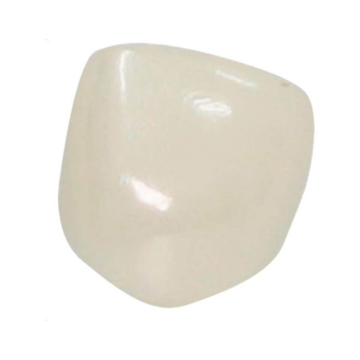 NuSmile B6R204L — 3004-VM