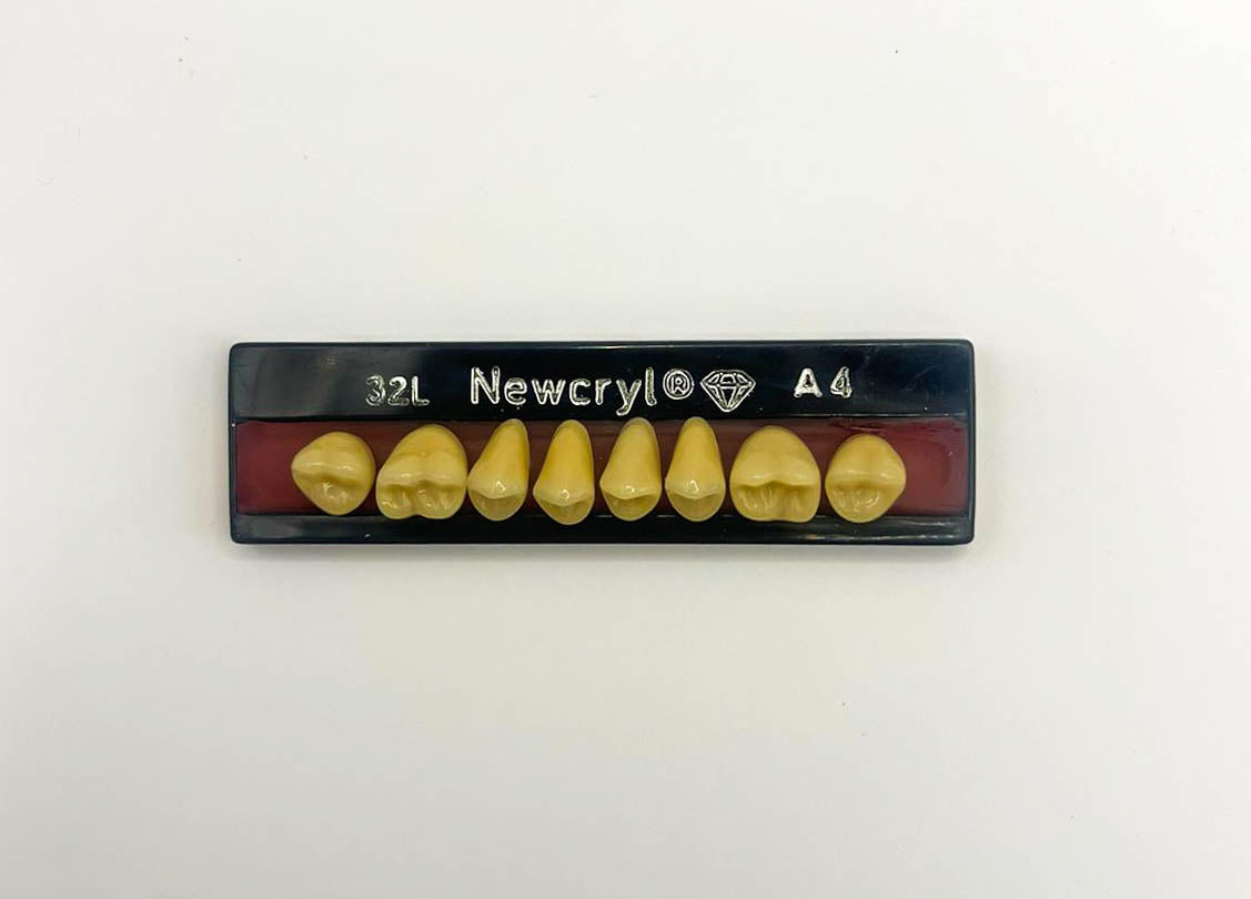 Dientes newcryl x 8 sp 32l col a4