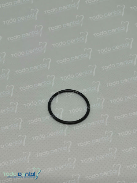 Elastico Guia Condilar Juego De 2