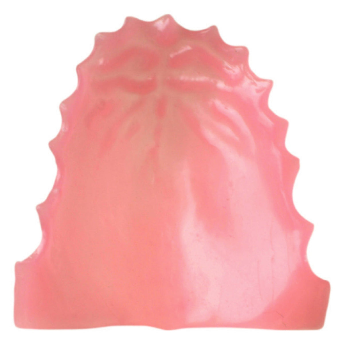 Cera paladar anatomico rogson wax — 148-0080