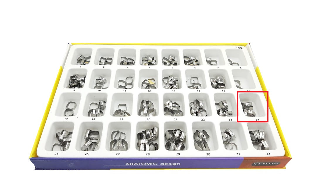 Banda anatomica 1 molar Borgatta Upper