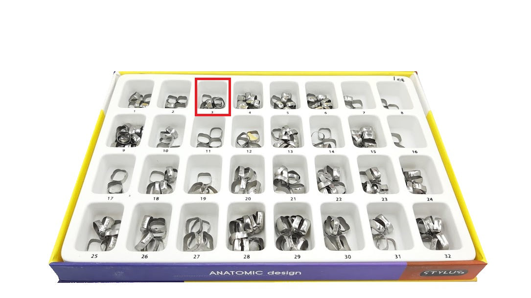Banda anatomica 1 molar Borgatta Upper