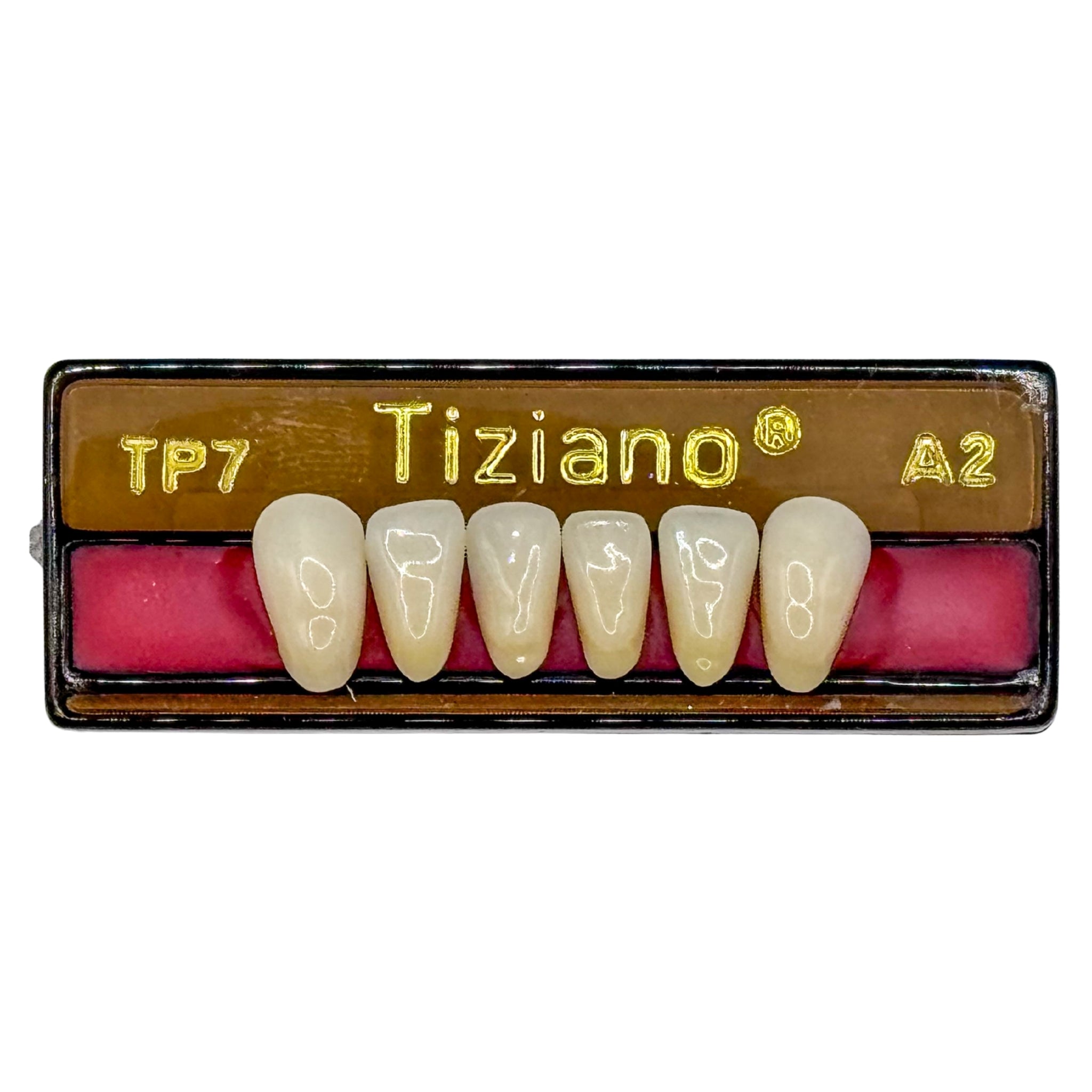 Dientes tiziano x 6 ia TP7 col A2