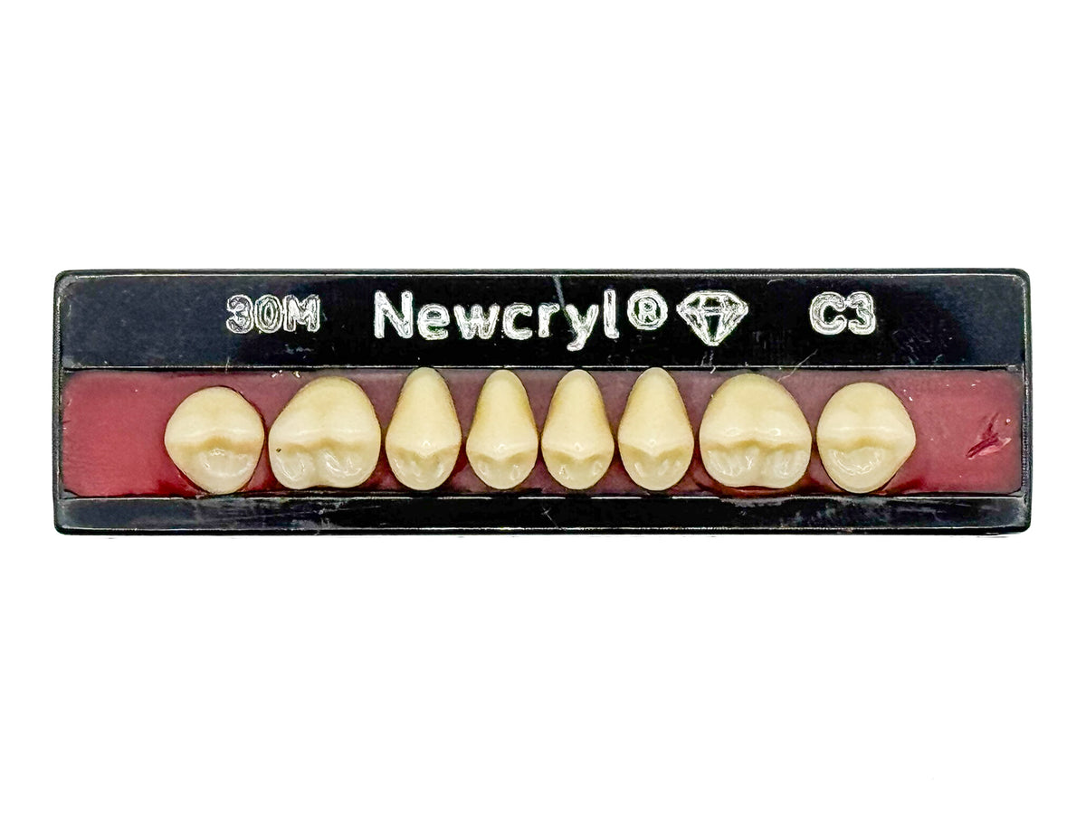 Dientes newcryl inferior posterior