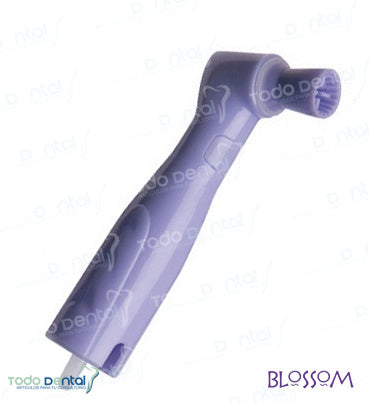 Contrangulo copa regular lavanda