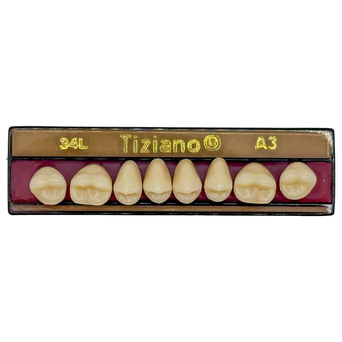 Dientes Tiziano superior posterior