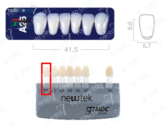 Diente new tek anterior inferior