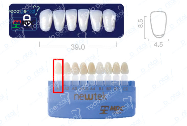Diente new tek anterior inferior