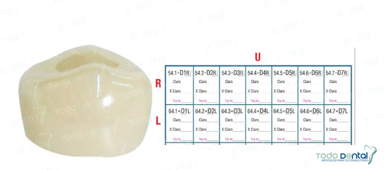 Corona de prueba nusmile 1er molar y 2do molar
