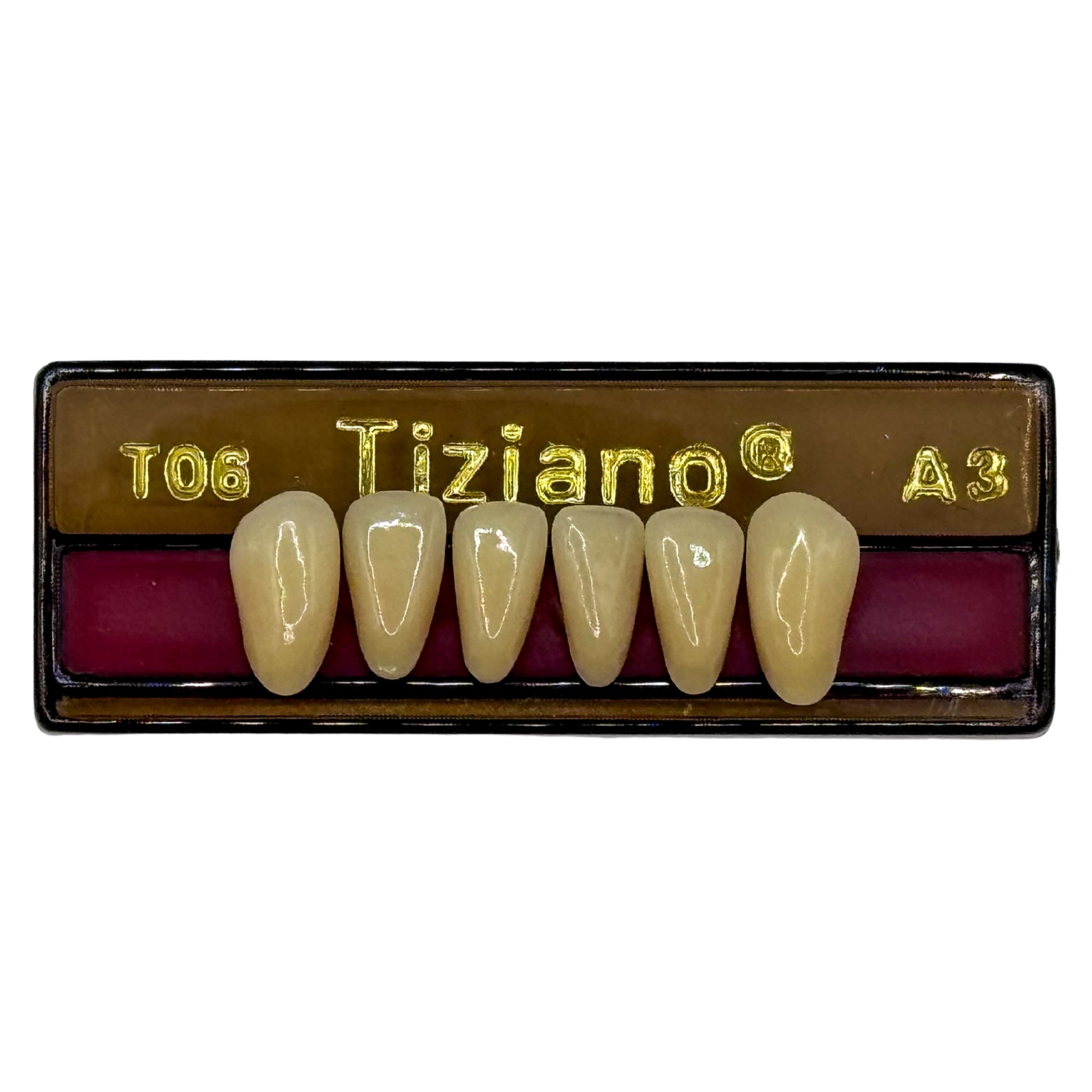 Dientes tiziano x 6 ia TO6 col A3
