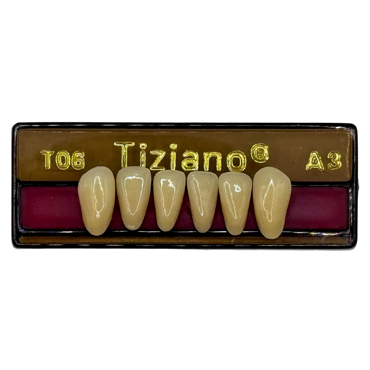 Dientes Tiziano inferior anterior