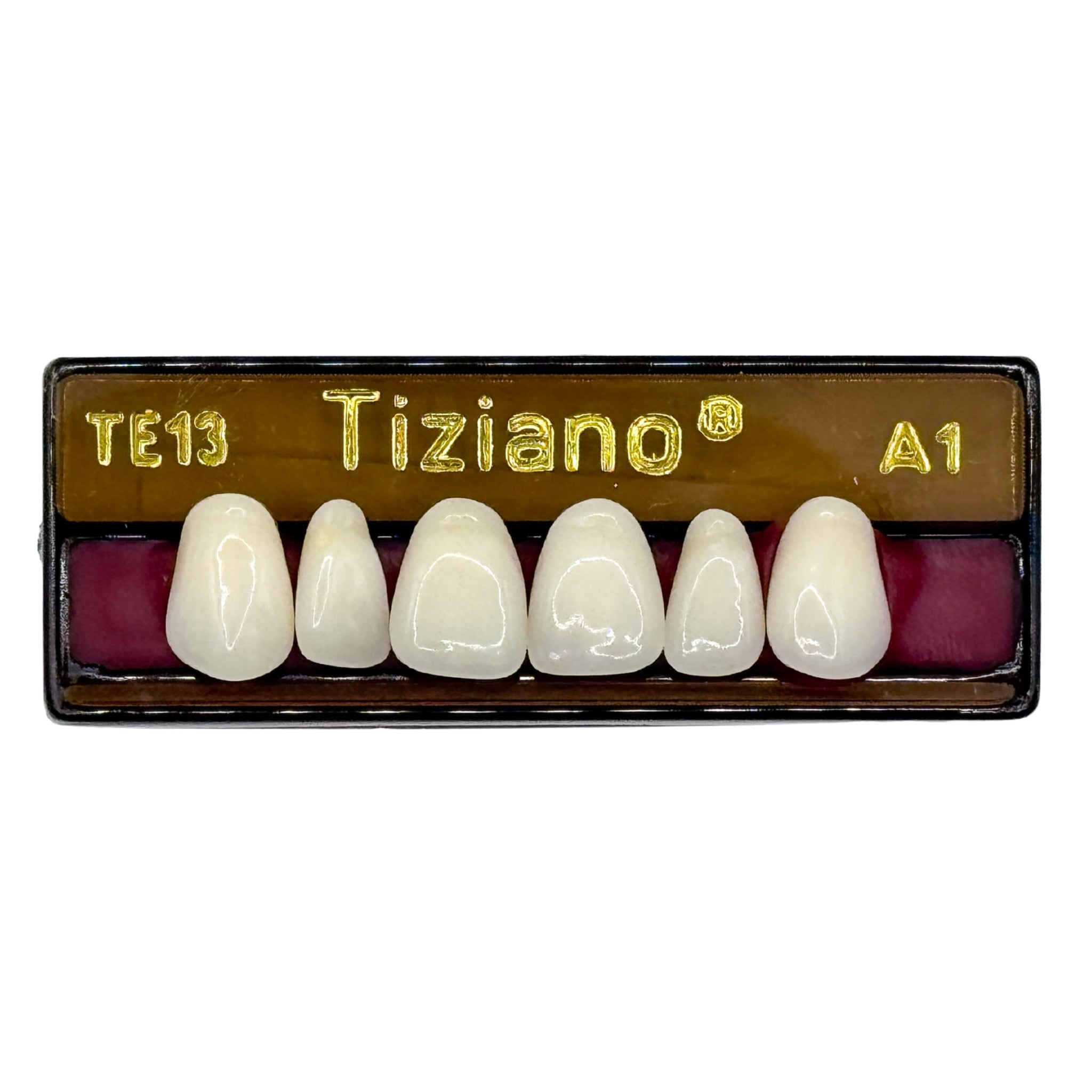 Dientes tiziano x 6 sa TE13 col A1