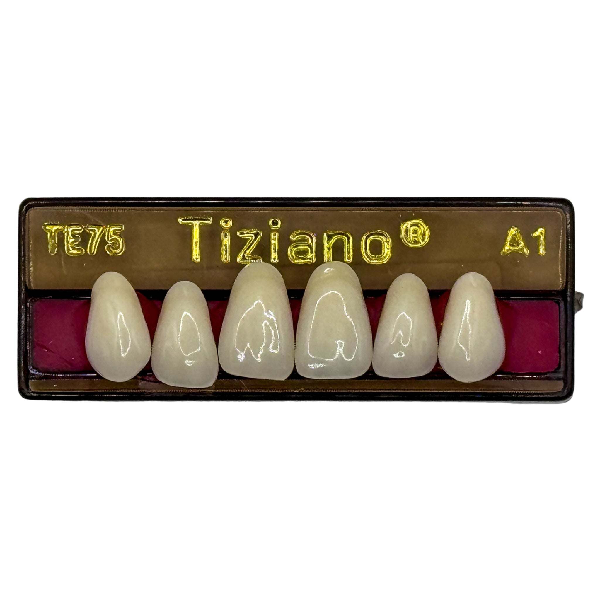 Dientes tiziano x 6 sa TE75 col A1